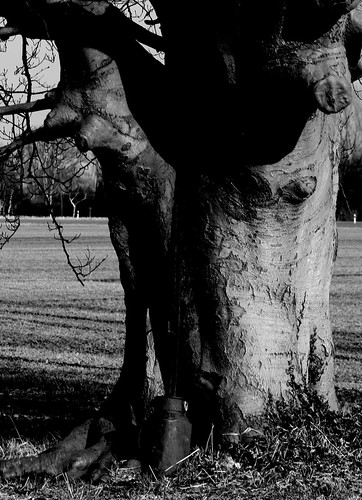 Milchkanne mit Baum by Heinbloed