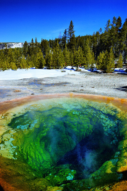 Morning Glory Pool in the Upper Geyser Basin, Yellowstone National Park