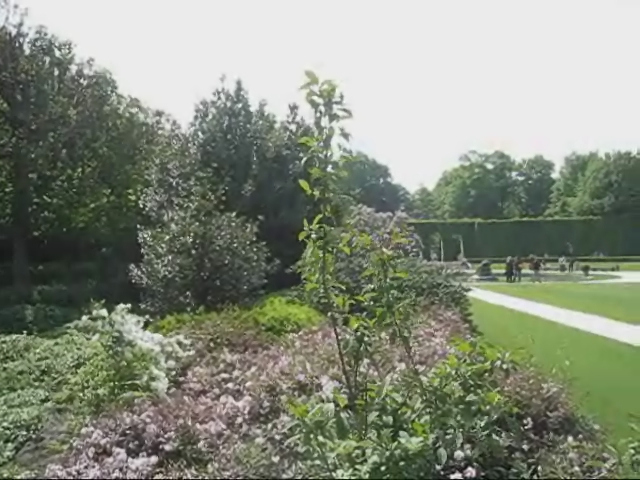 Rodin's Gardens