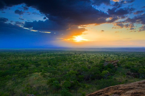 africa sunset camp game tanzania safari tarangire kikoti tented