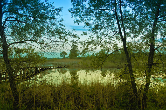 twilight at the marsh