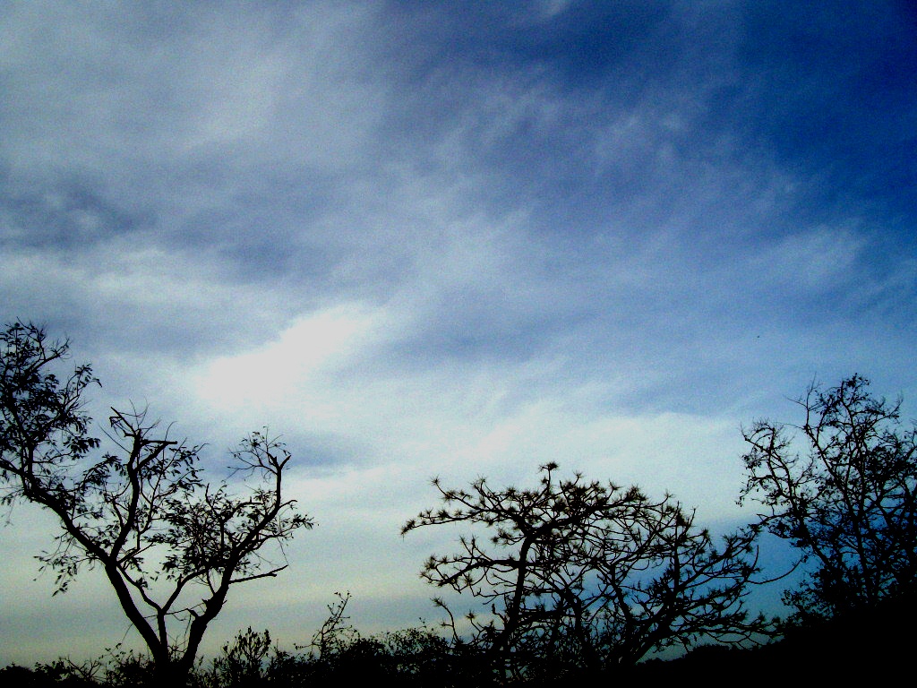before the storm | “This world to me is like a lasting storm… | Flickr
