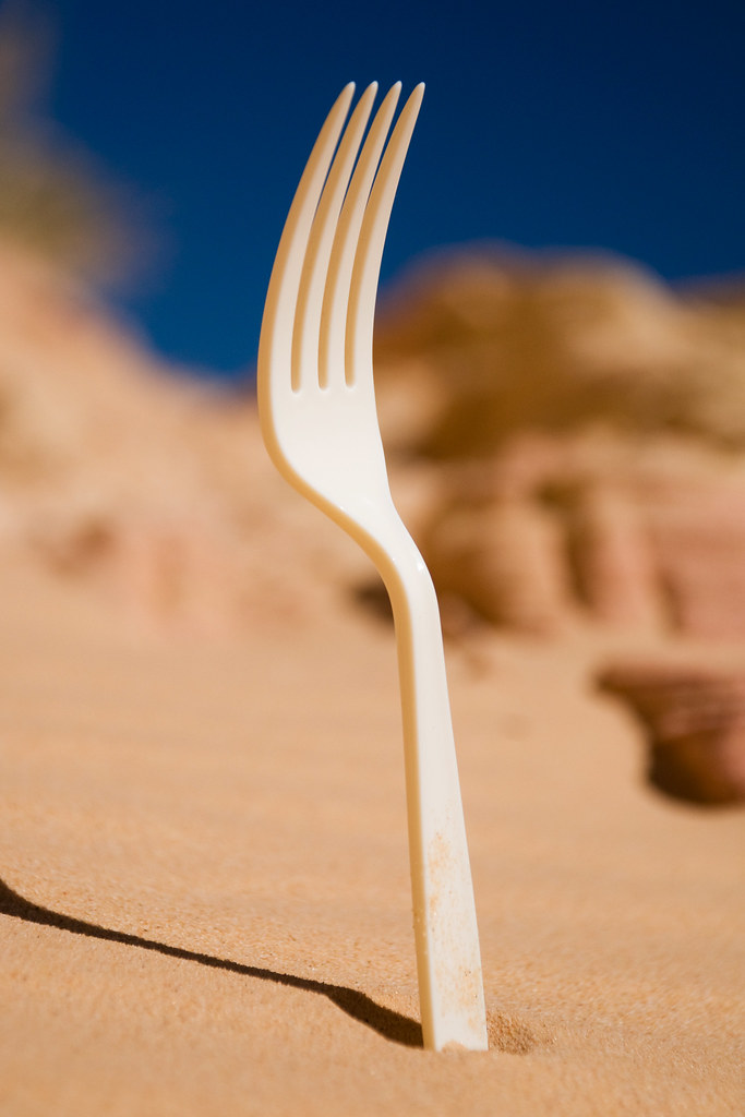 wild dune fork stands at dawn | portrait of a rare dune fork… | Flickr