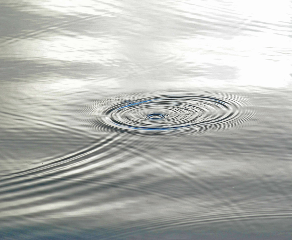 water ripples - Rings of Light | One of a shoal of young san… | Flickr