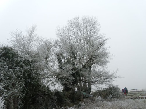 Over a frosty stile Wanborough to Godalming