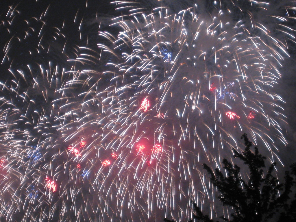 A photo of fireworks bursting in the night sky