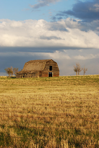 old sky canada oneaday grass clouds barn rural fence nikon alberta photoaday rundown pictureaday oldbarn project365 southernalberta d80 nikond80 project365155 ronaldok project365052309 ronkubephotography
