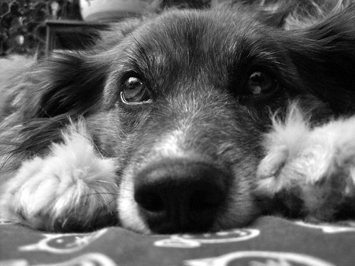 Thinking Tia | by matteococco