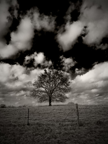 Stand Alone by Eric W. Hodel