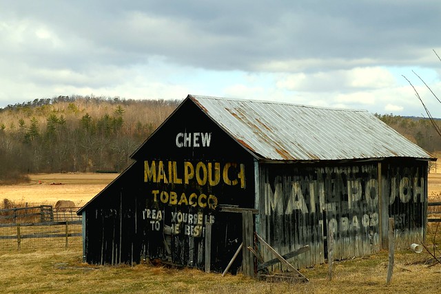 Mail Pouch Barn - Route 50 - Hampshire County, WV USA (EXPLORE)