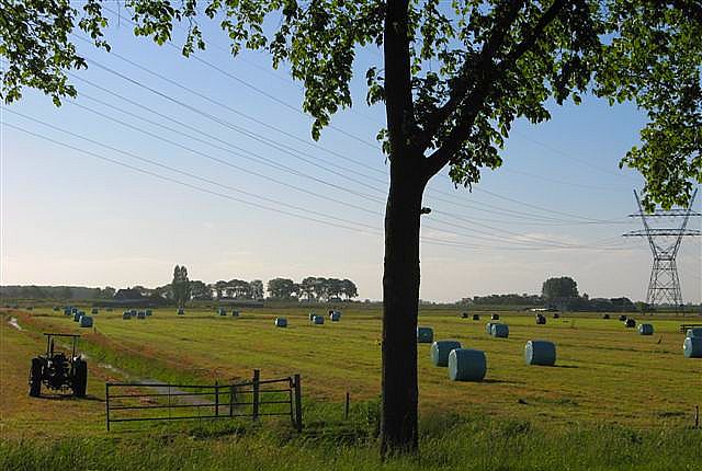 Dutch landscape - Ilpendam