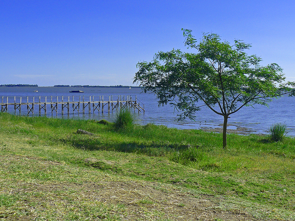 Laguna de Chascomús | Adrián | Flickr