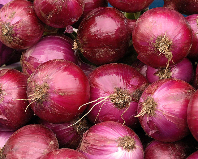Red Onions 1, Colorado