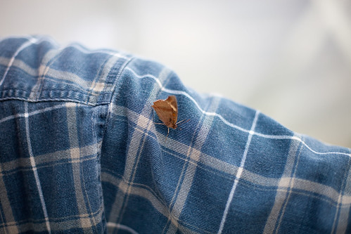 Canon_5D_Mark_II_Image_Sample-1-13 | by neutralday