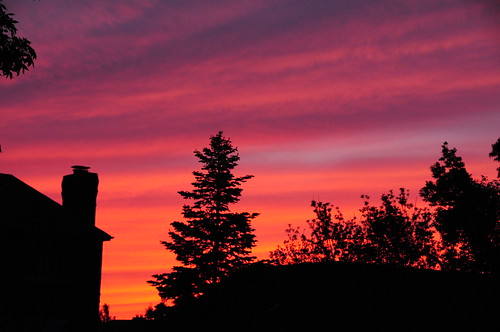 trees sunset color nature silhouette illinois homerglen flickrsupersixgroupgraduate