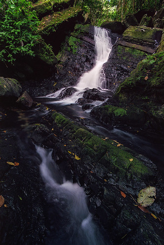elyunquenationalforest juandiego rainforest nature water cascade film 35mm c41 kodakektar100 nikonf4 voigtlandercolorskopar20mm