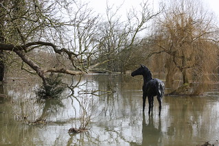 Winter Flood, Grantchester Mill Pond