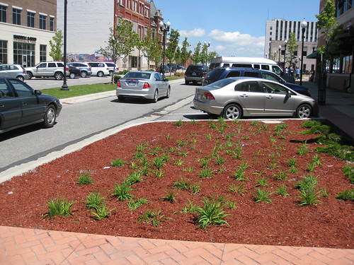 downtown landscaping michigan cleanup event mulch muskegon westernavenue springcleanup muskegonmainstreet