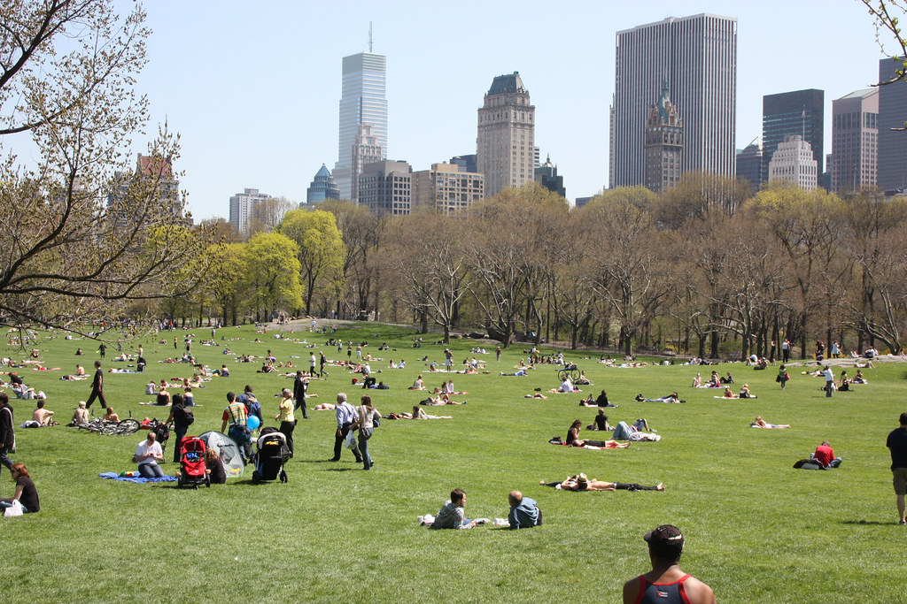 Sheep Meadow in Central Park | Amy O'Brien | Flickr