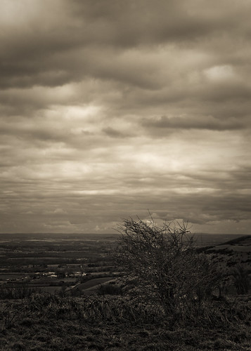 IMG_1239-Edit by Frank Darnell