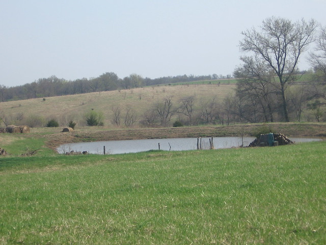 rural pond