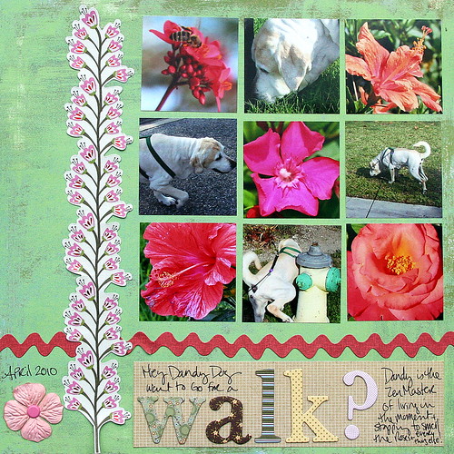 Dandy Walk? | by katiescottscrapbooking
