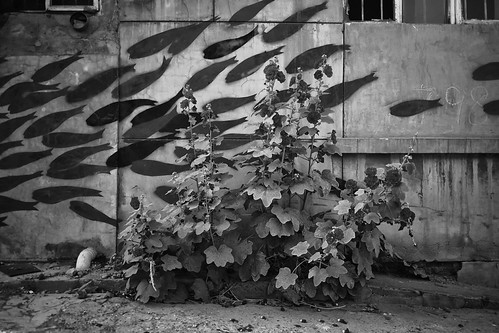 Untitled | Jonathan van Smit | Flickr
