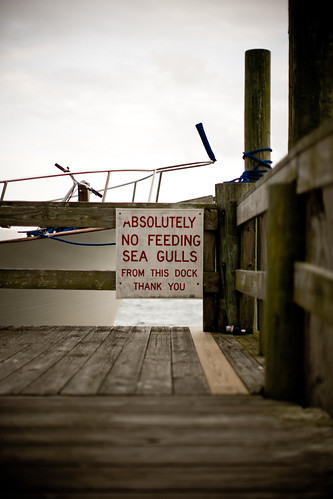 Morehead City, NC by Brett Arthur Donar (brettjessica.com)