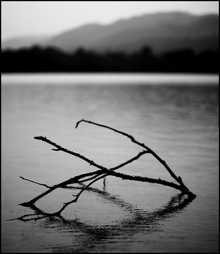 13 | by angus clyne