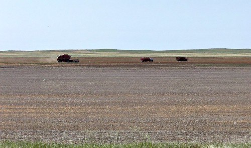 standrews farm harvest thresher 2009 blue colour color agriculture sk saskatchewan canada field decade2000 prairies canadagood