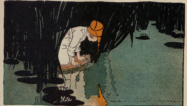 I looked into the water illustrated by M.W. Enright