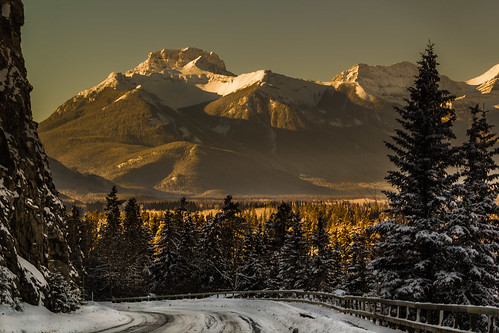 road park trees winter light snow mountains nature canon fence landscape january national alberta banff cans2s