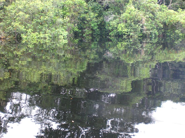 Rio Negro - Amazonia