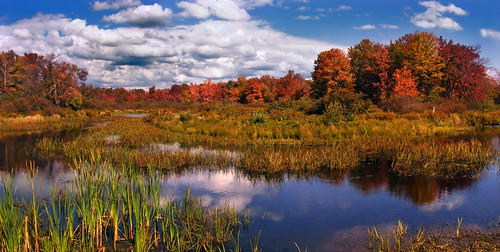 Fall by Nicholas_T, Tobyhanna Creek, Monroe County.pennsylvania monroecounty coolbaughtownship tobyhannacreek poconos we
