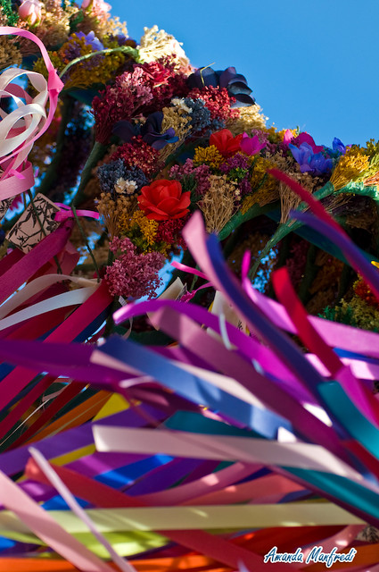 Ribbons and Flowers