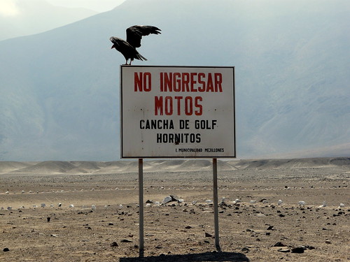 No ingresar motos. Cancha de golf Hornitos by Frederico Agustín
