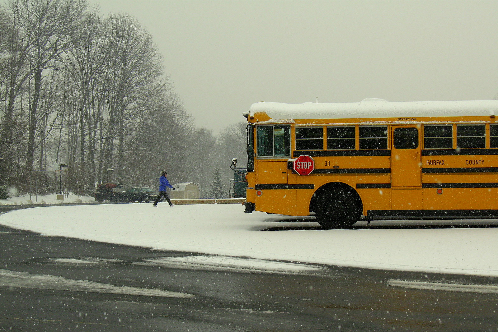 fairfax-county-public-schools-buses-flickr