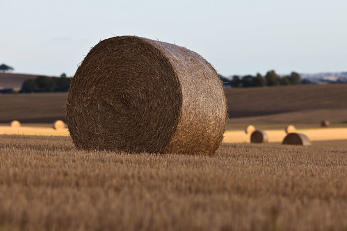 field landscape skåne sweden schweden harvest round sverige hay bale suéde svezia eslöv vittskovle skanelan vittskövle