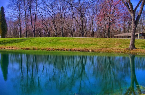 park blue trees lake reflection green water spring nikon hdr cooplix