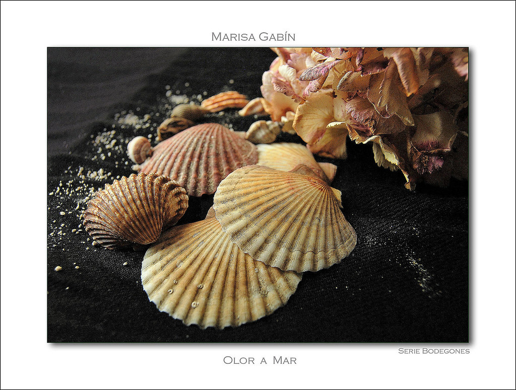 Olor a Mar by Marisa Gabín (*)