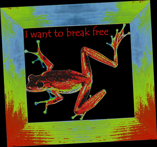 I want to break free - Ich will hier raus!