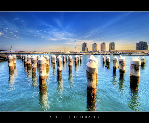 51 Poles | 51 Flickr Weeks :: HDR by :: Artie | Photography ::