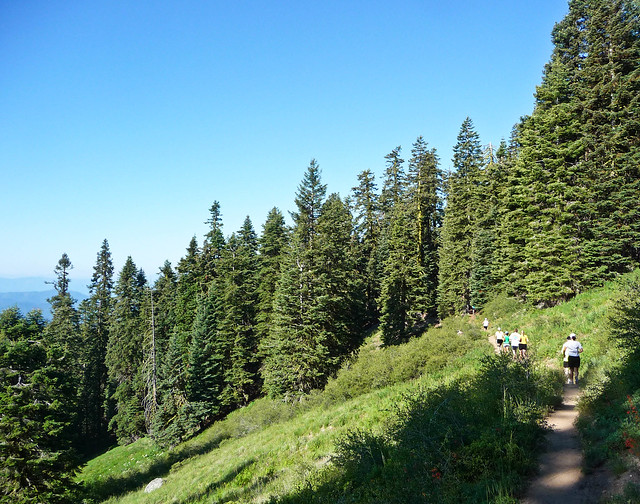 Racing on the Pacific Crest Trail - Siskiyou Outback Trail Run