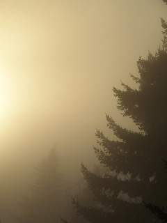 Sunset on a foggy afternoon