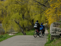 Biking in High Park