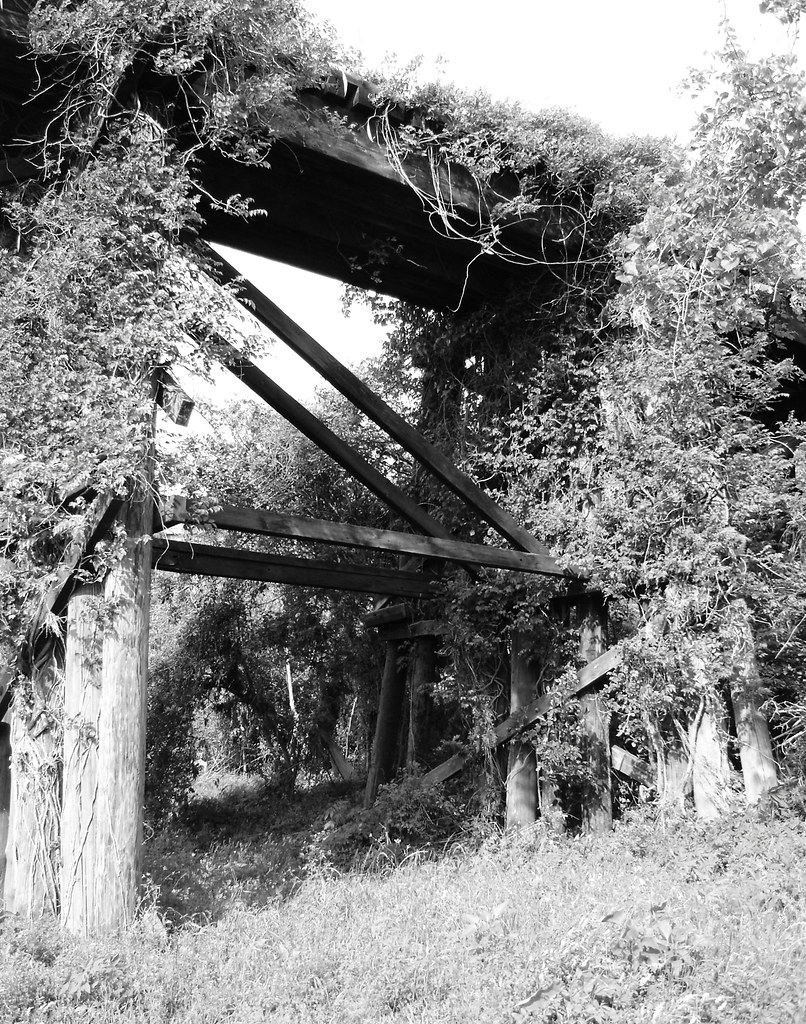 Old MKT Railroad Bridge over White Oak Bayou, near Studemont & I-10, Houston, Texas 0330090958BW