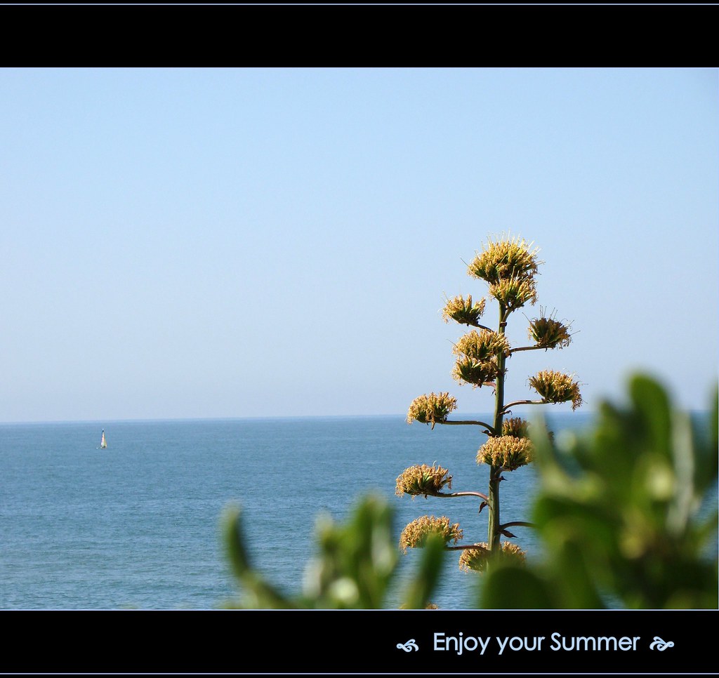 Enjoy your Summer by AvóQuéu