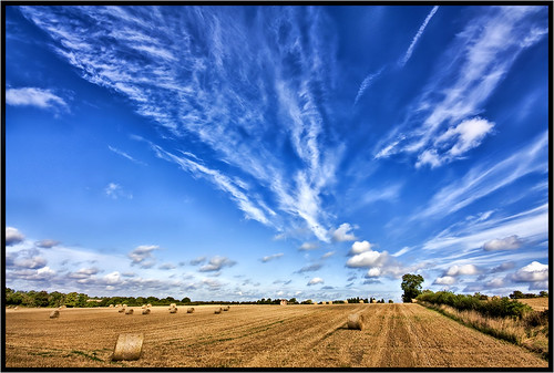 August Sky. by Pat Dalton...