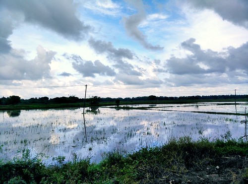 rain cloudy bluesky ricefield