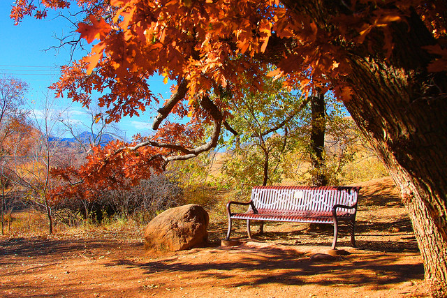 The autumn of life ... bench to sit down and take a break on